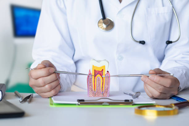 Best Emergency Wisdom Teeth Removal in Petersburg, MI